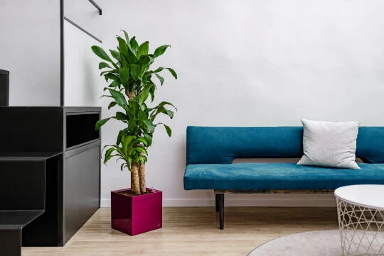 Samozavlažovací kvetináč FLOWER LOVER TRIANGLE 27x27x27 cm