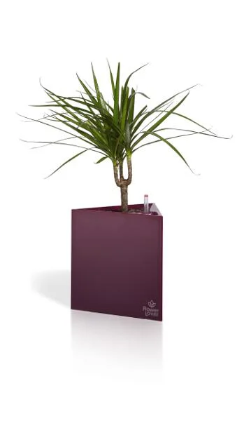 Samozavlažovací kvetináč FLOWER LOVER TRIANGLE 21x21x21 cm