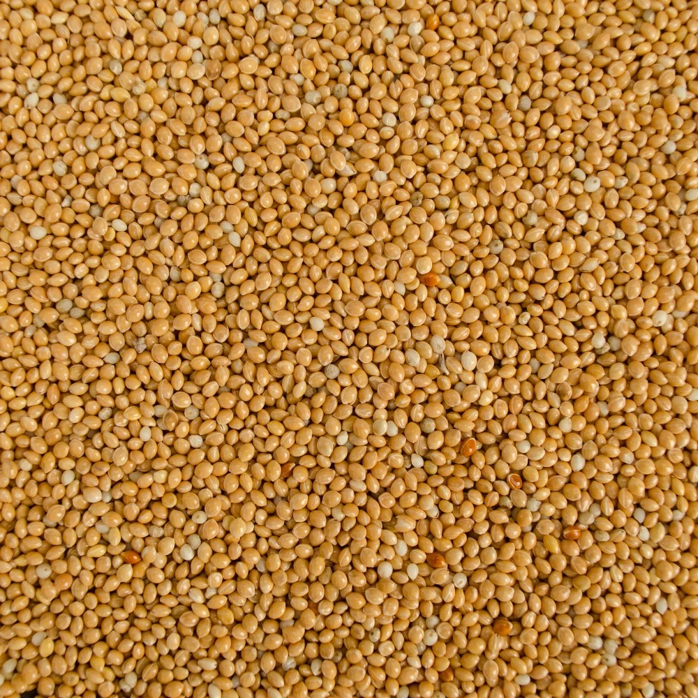 Proso žlté 1kg balenie