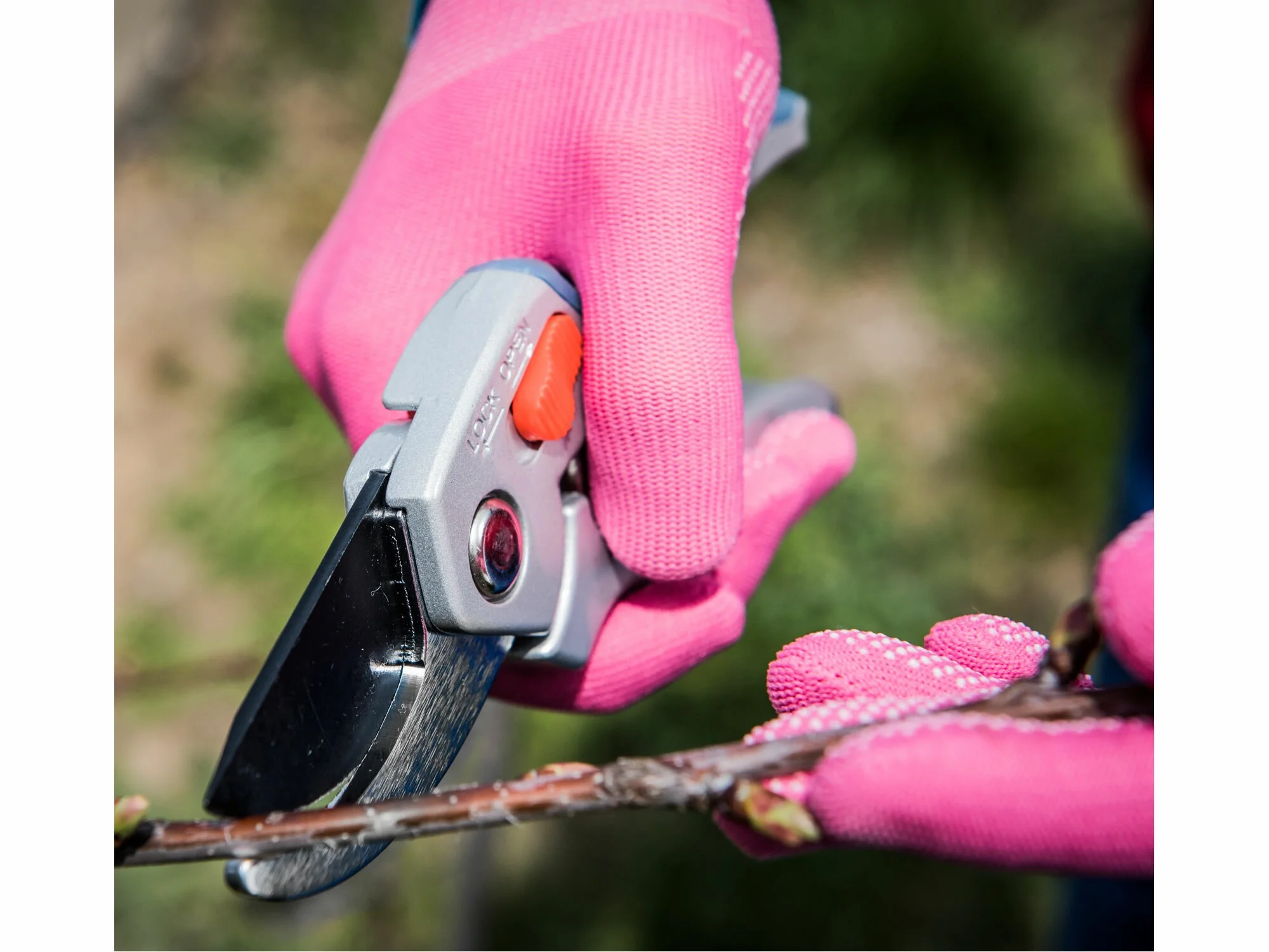 Nožnice EXTOL záhradnícke krokovacie prevodové, 205mm